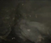 Apneatic the flood